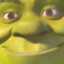 ShrekFork