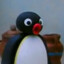 Pingu~