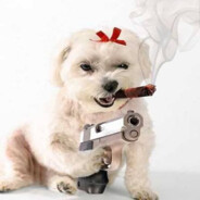 Sprzatacz - steam id 76561197961862360
