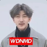 WDNMD