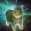 铭铭D