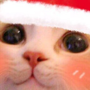 宗叶叶叶叶叶叶叶_