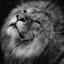 steadfast