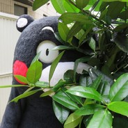 YuTou