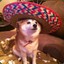 *mexican woof?*