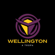 wellington.V.R