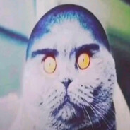 AngryCoolBirds283 vex.gg