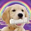 @xens #2&#039;