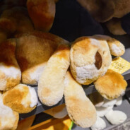 清风明月楼诗唯