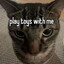 meow guy