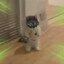sqq