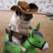Cowboy Pug - steam id 76561199468599756