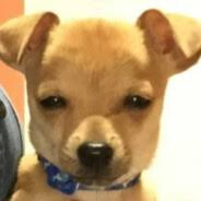 slowlyslow23 - steam id 76561197966272575