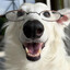 torrit's avatar