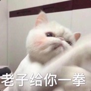 飞天遁地无敌小旋风