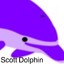 Scott Dolphin