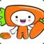 Mr.Carrot