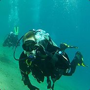 Scitz0 - steam id 76561197960489466