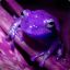 Purple Toad