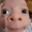 cocoliso