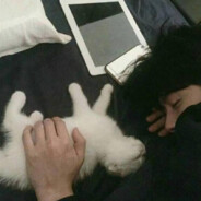 能力越小责任越小