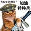 一号特种兵