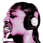 kdn Suveranul Romaniei