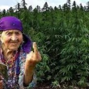 ✘𝕭𝖆𝖈𝖎𝖘✘