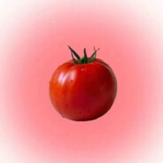 易暴躁的西红柿
