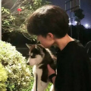 翻斗花园小郑来了