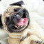 PuG{PuCk