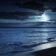 Margodx - steam id 76561198514370594