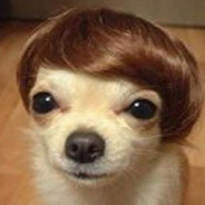 Canidé des Beaux Quartiers