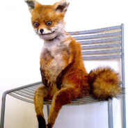 Яичко Лисички