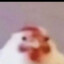 Ogi