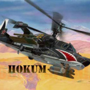 Hokum - steam id 76561197980909218