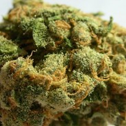 JackHerrer