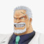 Garp