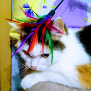 ruslan_eee)