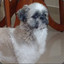 Andres