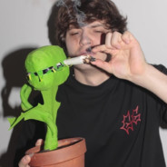swg