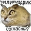 чилипиздрик