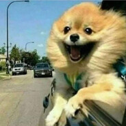 ✩ L7barti『 Asiasia 』