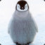 hoihopenguin