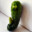 cucumber