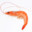 ShrIMP