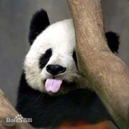 白给King 只会Rush B