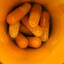 Pumpkin Spiced Adderall
