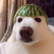 Melon Dog