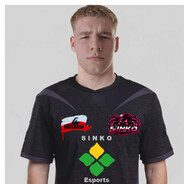 qsxcgfh sinko.esports